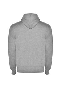 ROLY - Męska Bluza Z Kapturem Montblanc Heather Full Zip. Typ kołnierza: kaptur. Kolor: szary