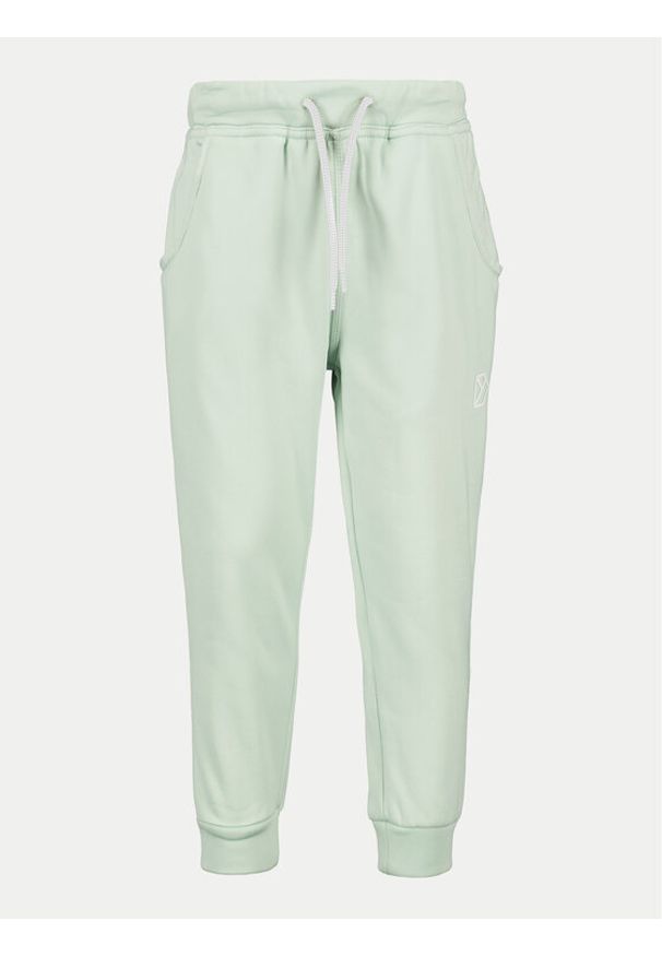 Didriksons Spodnie dresowe Corin 505004 Zielony Regular Fit. Kolor: zielony. Materiał: syntetyk