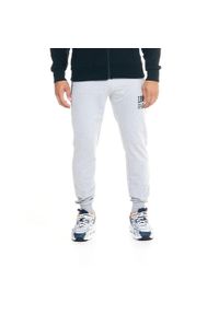 LEONE 1947 APPAREL - Męskie spodnie dresowe Leone Active. Kolor: szary. Materiał: dresówka. Sport: fitness