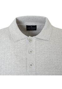 Dzianinowa Koszulka Polo - Pako Jeans - Popielata, Faktura Materiału. Okazja: na co dzień. Typ kołnierza: polo. Kolor: szary. Materiał: bawełna. Wzór: ze splotem. Styl: casual #2