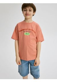 Reserved - T-shirt z nadrukiem - pastelowy róż. Kolor: różowy. Materiał: bawełna, dzianina. Wzór: nadruk #1