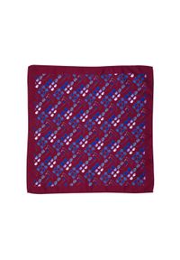 Modini - Bordowa poszetka w okulary E164. Kolor: czerwony. Wzór: kwiaty #1