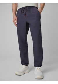 4f - 4F Spodnie treningowe szybkoschnące męskie - szare M. Kolor: szary. Materiał: skóra. Sport: fitness #2