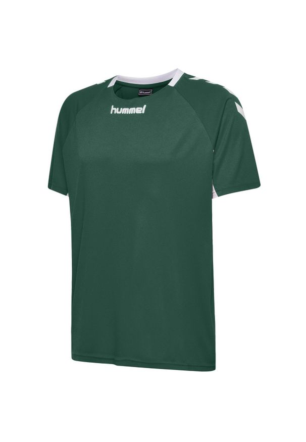 Koszulka sportowa z krótkim rękawem dla dzieci Hummel Core Kids Team Jersey S/S. Kolor: zielony, biały, wielokolorowy. Materiał: jersey. Długość rękawa: krótki rękaw. Długość: krótkie