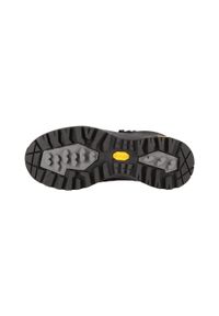 ALPINE PRO - Buty trekkingowe Alpine Pro Erahe skórzane Vibram. Kolor: czarny. Materiał: skóra