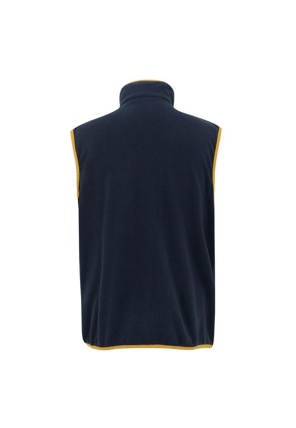 Regatta - Męska Kamizelka Polarowa Frankie. Kolor: niebieski. Materiał: polar. Styl: sportowy. Sport: turystyka piesza