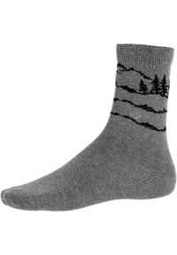 Skarpety trekkingowe męskie Viking Boosocks Mid Bamboo Man. Kolor: szary
