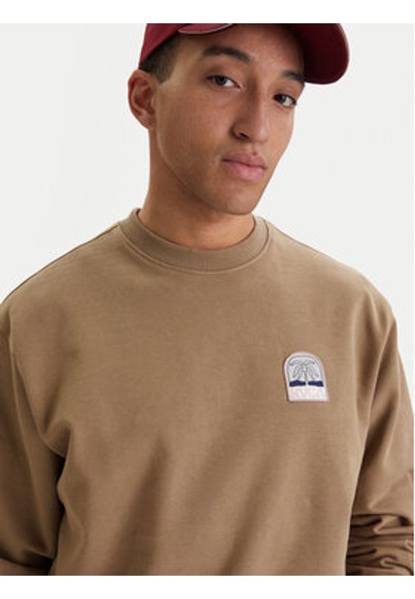 RVCA Bluza Palm Crest EVYSF00141 Beżowy Boxy Fit. Kolor: beżowy. Materiał: bawełna