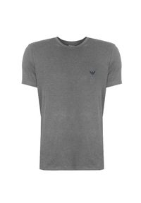 Emporio Armani T-shirt "2 Pack" | 111267 4F720 | Mężczyzna | Niebieski, Szary. Okazja: na co dzień. Kolor: wielokolorowy, niebieski, szary. Materiał: bawełna, elastan. Wzór: nadruk. Styl: klasyczny, casual