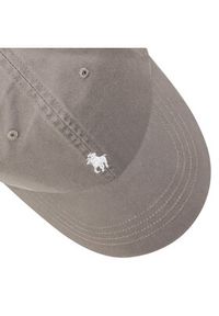 Polo Ralph Lauren Czapka z daszkiem Hat 710548524009 Szary. Kolor: szary. Materiał: materiał