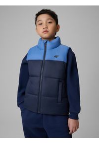 4f - 4F Bezrękawnik z wypełnieniem syntetycznym chłopięcy - granatowy 164 (13-14 lat). Okazja: na co dzień. Typ kołnierza: kołnierzyk stójkowy. Kolor: niebieski. Materiał: syntetyk. Długość rękawa: bez rękawów. Sezon: lato. Styl: casual, sportowy #1