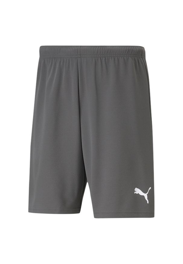 Spodenki piłkarskie męskie Puma teamRISE Short. Kolor: szary, wielokolorowy, biały. Sport: piłka nożna