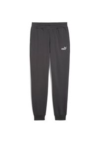 Spodnie Puma Ess No. 1 Logo Sweatpants Fl Cl S, Dla obu płci. Kolor: szary. Materiał: materiał, bawełna. Sport: fitness
