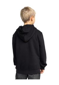 DC Shoes - Bluza z kapturem dla Chłopcy PALLET PH Czarny. Typ kołnierza: kaptur. Kolor: brązowy, zielony, wielokolorowy. Materiał: tkanina, poliester, bawełna. Sport: skateboard