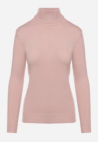 Born2be - Różowy Golf z Bawełną o Prostym Kroju Mevoresa. Okazja: na co dzień. Typ kołnierza: golf. Kolor: różowy. Materiał: bawełna. Styl: casual, klasyczny, elegancki #5