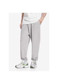 Spodnie dresowe męskie Prosto Big Log. Kolor: szary. Materiał: dresówka #1