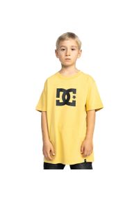 DC Shoes - Koszulka dla Dzieci DC STAR Żółty. Kolor: żółty. Materiał: materiał, bawełna. Wzór: nadruk