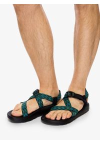 Sandały sportowe męskie Chaco Z/1 Classic. Kolor: zielony