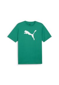 Koszulka męska Puma Team Rise Logo Jersey Cotton. Kolor: zielony, biały, wielokolorowy. Materiał: jersey. Sport: fitness, piłka nożna