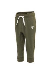 Spodnie dresowe dla dzieci Hummel hmlAPPLE. Kolor: zielony. Materiał: dresówka. Sport: bieganie