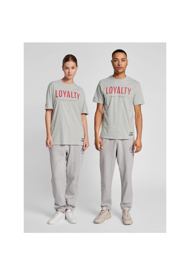 Koszulka Hummel Legacy Loyalty. Kolor: szary. Sport: fitness