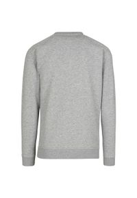BUILD YOUR BRAND - Bluza Unisex Dla Dorosłych Dekolt W Szpic Raglanowa. Kolor: szary. Długość rękawa: raglanowy rękaw