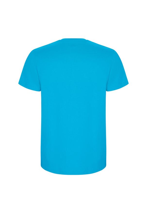 ROLY - Męska Koszulka Stafford. Kolor: niebieski. Sport: turystyka piesza