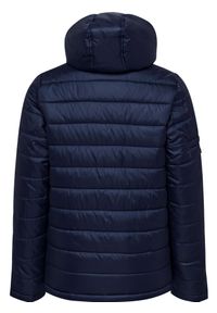 Parka dla dzieci Hummel Hummel North Quilted. Kolor: niebieski. Materiał: tkanina. Sport: piłka nożna