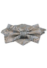 Mucha Męska w Zestawie z Poszetką - Alties - Popiel, Jasne Paisley. Wzór: paisley. Styl: elegancki, sportowy #1