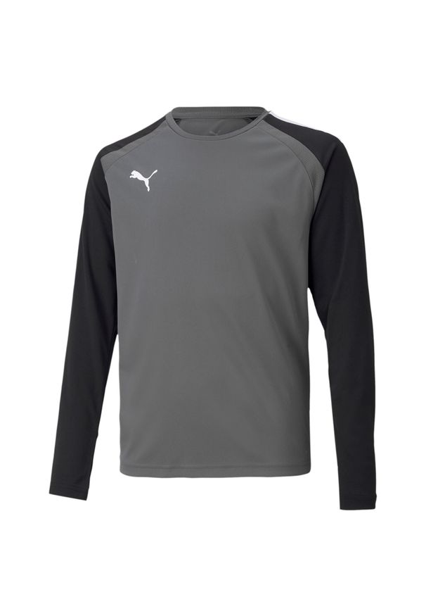 T-Shirt Puma Teampacer Gk Ls Jersey Jr Dzieci. Kolor: czarny, biały, szary, wielokolorowy. Materiał: poliester. Sport: piłka nożna