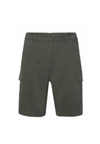 Spodenki cargo Protest Prtnytro. Kolor: zielony. Materiał: bawełna. Sezon: lato. Sport: turystyka piesza #1