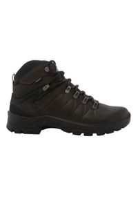 Buty trekkingowe męskie Grisport Marrone Dakar Pecos 2. Wysokość cholewki: za kostkę. Zapięcie: sznurówki. Kolor: wielokolorowy, zielony. Materiał: guma, materiał, skóra, tkanina. Szerokość cholewki: normalna