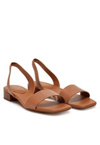 Aldo Sandały Dorenna 13578725 Brązowy. Kolor: brązowy. Materiał: skóra #3