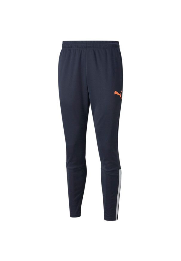 Spodnie Puma Teamliga Training Pants, Mężczyźni. Kolor: niebieski. Sport: piłka nożna