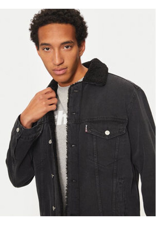 SCHOTT N.Y.C. Kurtka jeansowa TRUCKSHERPA Szary Regular Fit. Kolor: szary. Materiał: bawełna