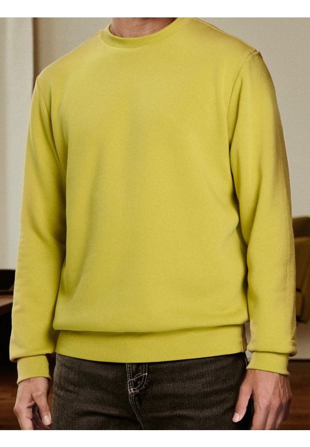 Sinsay - Bluza z długim rękawem - zielony. Kolor: zielony. Długość rękawa: długi rękaw. Długość: długie