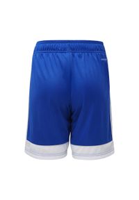 Adidas - Spodenki dla dzieci adidas Tastigo 19 Shorts. Kolor: niebieski, wielokolorowy, biały