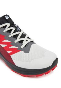 salomon - Salomon Buty do biegania Alphaglide Gore-Tex L47802200 Szary. Kolor: szary. Materiał: materiał. Technologia: Gore-Tex
