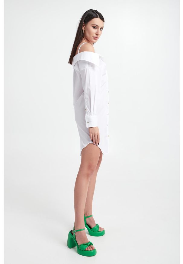 Blugirl Blumarine - Sukienka koszulowa BLUGIRL BLUMARINE. Typ sukienki: koszulowe
