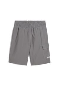 Puma - Męskie szorty bojówki Essentials 9" z logo No.1 PUMA Cast Iron Gray. Kolor: szary. Długość: krótkie. Sezon: lato
