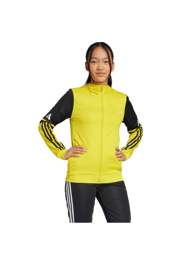Adidas - Bluza dla dzieci adidas Squadra 25 Hoody. Kolor: czarny, wielokolorowy, żółty. Sport: fitness