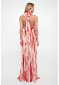 Elisabetta Franchi - Sukienka maxi ELISABETTA FRANCHI. Długość: maxi #5