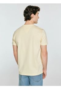 Big-Star - Koszulka męska z kontrastowym nadrukiem żółta Omer 200. Kolor: żółty. Materiał: bawełna, denim. Wzór: nadruk. Sezon: lato. Styl: klasyczny #5