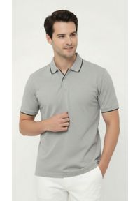 Oryginalna Koszulka Polo - Brave Soul - Popielata. Okazja: na co dzień. Typ kołnierza: polo. Kolor: szary. Materiał: wiskoza, bawełna. Styl: casual #2