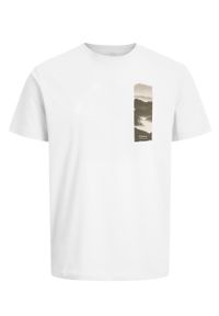 Volcano - Bawełniany t-shirt T-SIDE. Materiał: bawełna. Długość rękawa: krótki rękaw. Długość: krótkie. Wzór: nadruk, jednolity. Styl: klasyczny #1