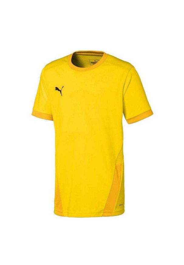 Puma - Koszulka Dziecięca TeamGoal. Kolor: żółty. Sport: turystyka piesza