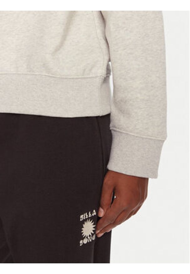 Billabong Bluza Familiy Tree EBJSF00191 Szary Regular Fit. Kolor: szary. Materiał: bawełna