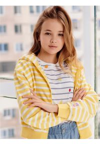 Sinsay - Bluza rozpinana - wielobarwny. Materiał: bawełna, dzianina #1