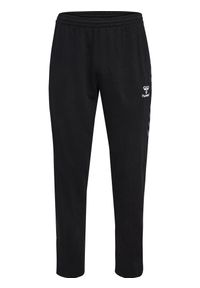 Spodnie sportowe dresowe Hummel Authentic Cotton Training Pants. Kolor: czarny. Materiał: dresówka