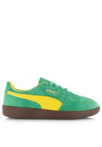 Buty do chodzenia męskie Puma Palermo. Kolor: zielony. Materiał: zamsz. Sport: turystyka piesza
